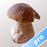 Myco pro - Mushroom Guide icon