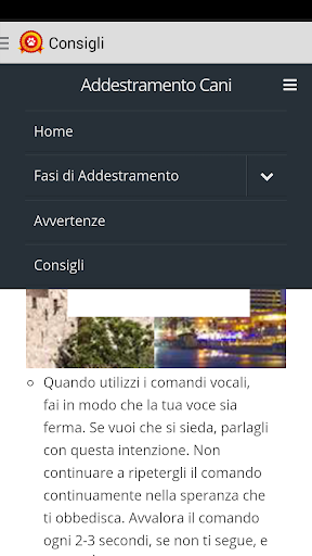 Addestra il tuo Cane