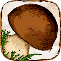 Icon image The Mushroom Book