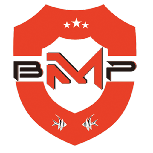 BMP RELOAD logo
