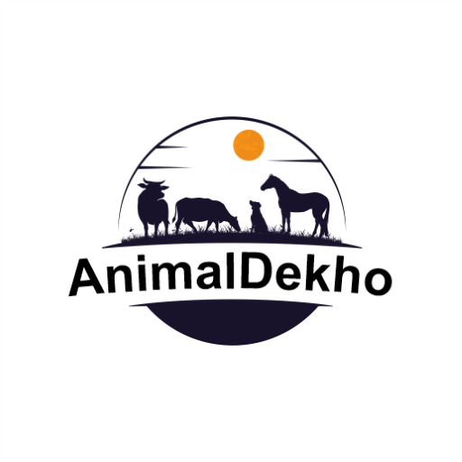 AnimalDekho logo