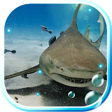 Sharks HD live wallpaper icon