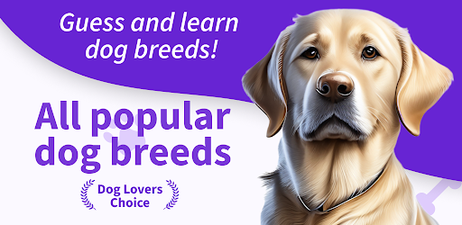 Dog Breed: Dogs games cute pet