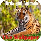 BirdsandAnimals LiveWallPaper icon