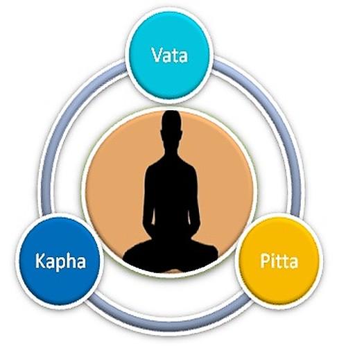 DoshaVigyan - AppWisp.com