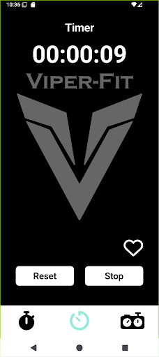 Viper-Fit Timer
