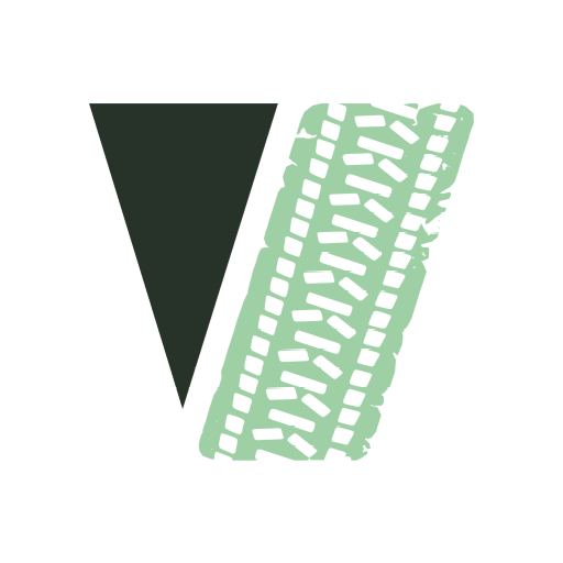 Trail Vision logo