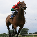 Horse Racing System icon