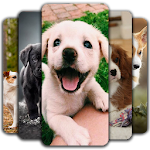 Cover Image of Download Puppy Wallpaper 🐶 2.7 APK