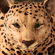 Ultimate Leopard Simulator - Androidアプリ