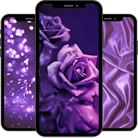 Purple Wallpaper