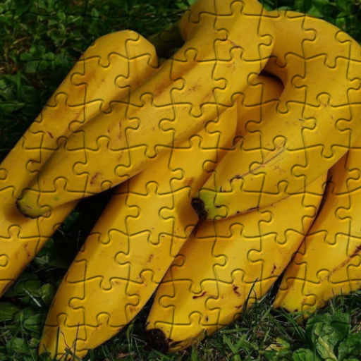 Bananas Jigsaw Puzzles logo