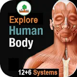 free  Animated Human body icon