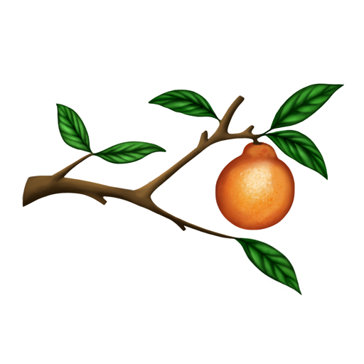 Boca Grove logo