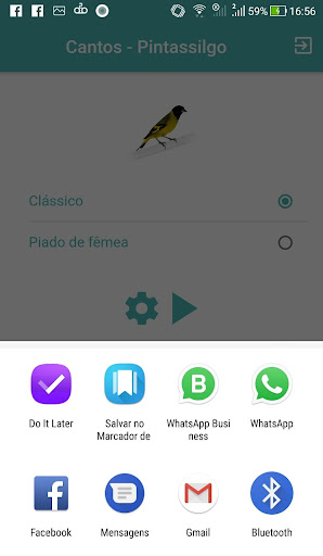 Cantos Pintassilgo Screen 3
