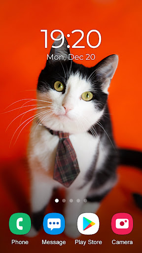 Kitten Wallpaper 2024 Screen 2