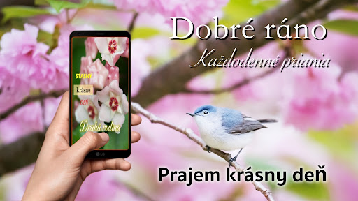 Android application Slovak Good Morning Everyday screenshort
