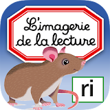 Imagerie lecture interactive icon