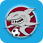 Cover Image of 下载 Shoalhaven Heads Berry Footbal  APK