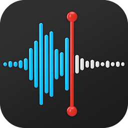 Imatge d'icona Gravadora de veu: notes de veu
