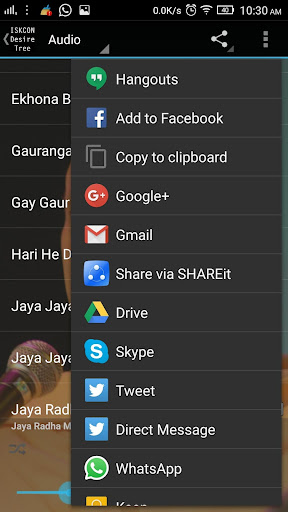 Radhanath Swami Bhajans