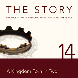 Obraz ikony: The Story Audio Bible - New International Version, NIV: Chapter 14 - A Kingdom Torn in Two