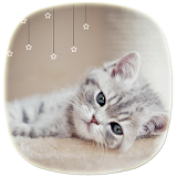 Cute Kitty Theme icon