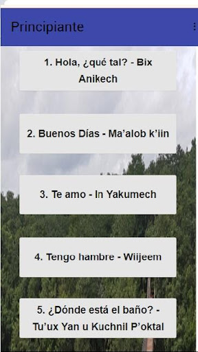 Aprende Maya Yucateco Screen 3