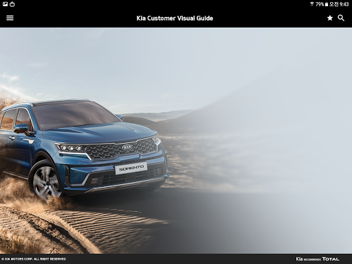 Kia Customer Visual Guide Screen 2