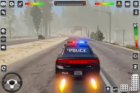 US CARS POLICE
