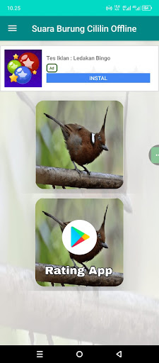 App preview