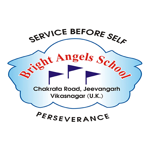 Bright Angels School logo