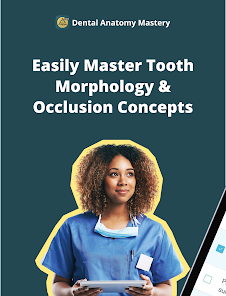 Dental Anatomy Mastery