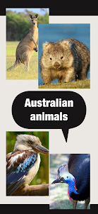 الحيوانات الاسترالية