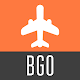 Bago Travel Guide Download on Windows