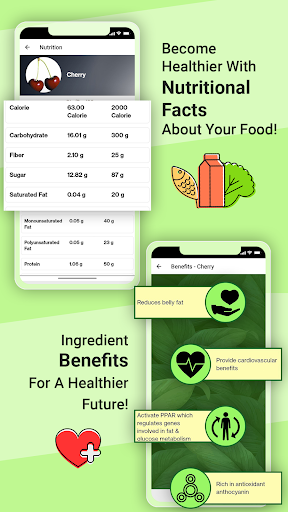Screenshot of Homemade Ice Creams Recipes