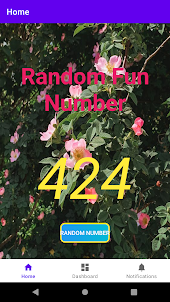Random Fun Number