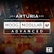 Advanced Moog Modular V for Ar