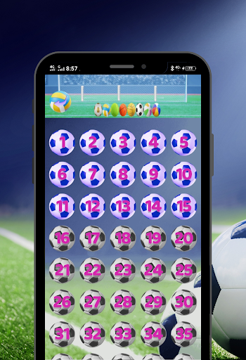 Soccer Sorting Balls Screen 2