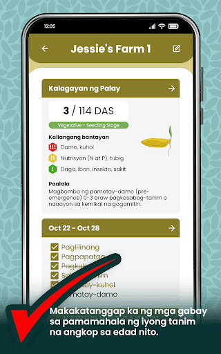 PalayCheck App Screen 3