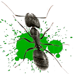 Cover Image of ดาวน์โหลด Ant smasher  APK