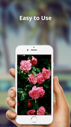 How To Care Of Plants