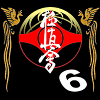 Kyikushin - Fighting & Kumite