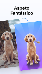PhotoRoom PRO APK MOD v2025.28.09 (Premium) Download 3