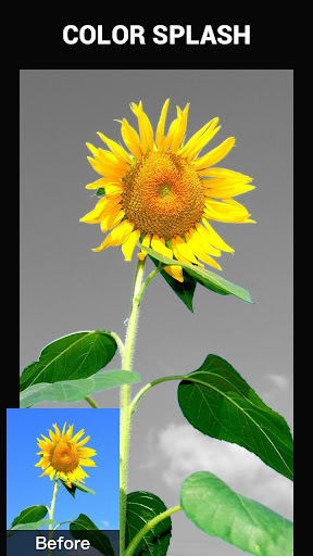 Color Splash PoP Photo Editor Screenshot 3 - AppWisp.com