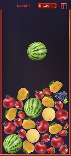 Watermelon Fruits Fun Screen 3