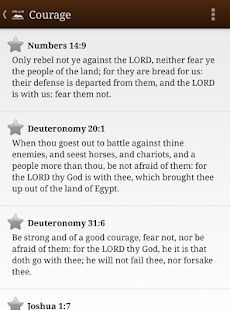 Bible Promises Screenshot