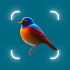 Identify Birds,Bird Identifier icon
