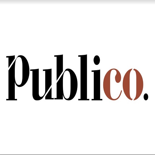 Publico  Icon
