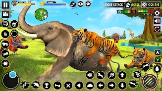 Tiger Simulator Lion games 3D Screenshot